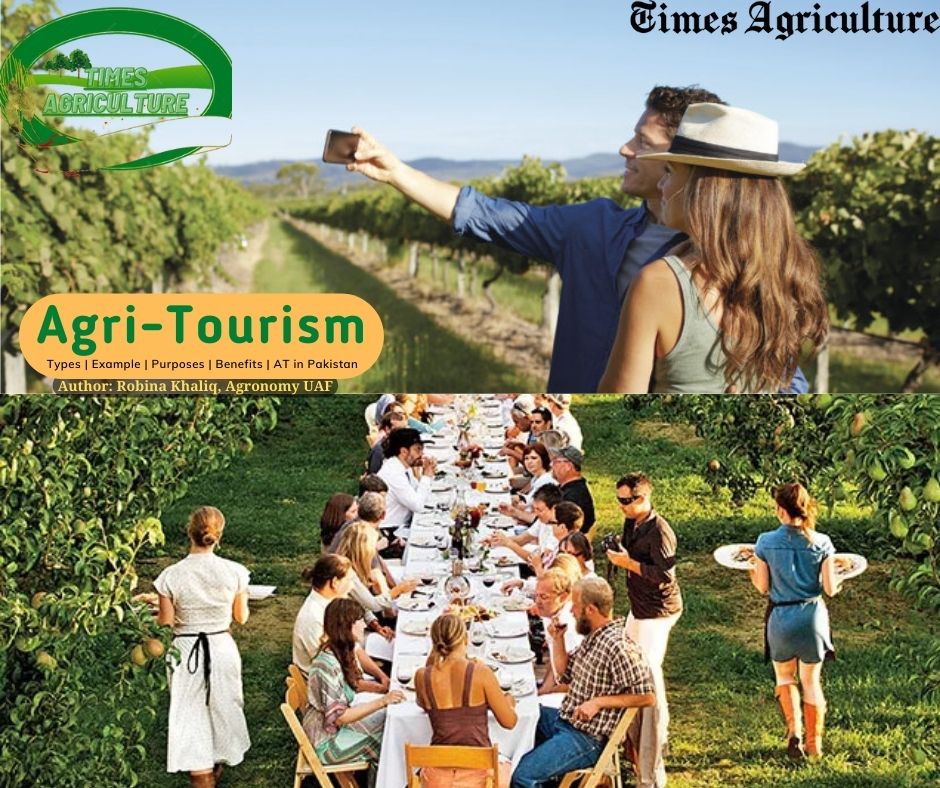 Agribusiness Opportunities in Agro-Tourism