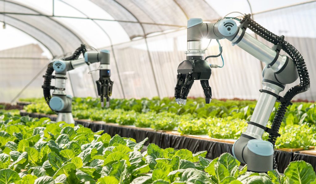 Ai in Agriculture: Future of Smart Farming