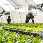 Ai in Agriculture: Future of Smart Farming