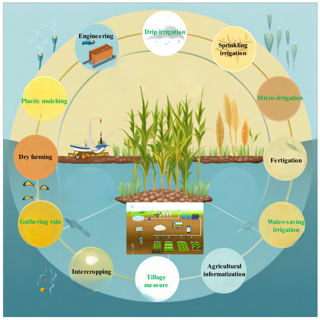 Best Practices for Sustainable Water Use in Agriculture