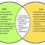 Best Water Management Practices for Small Farms