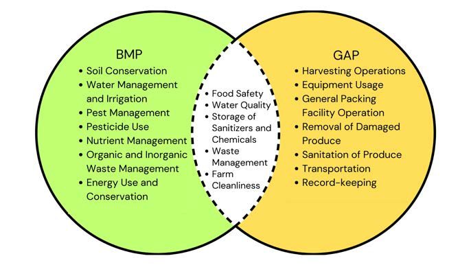 Best Water Management Practices for Small Farms
