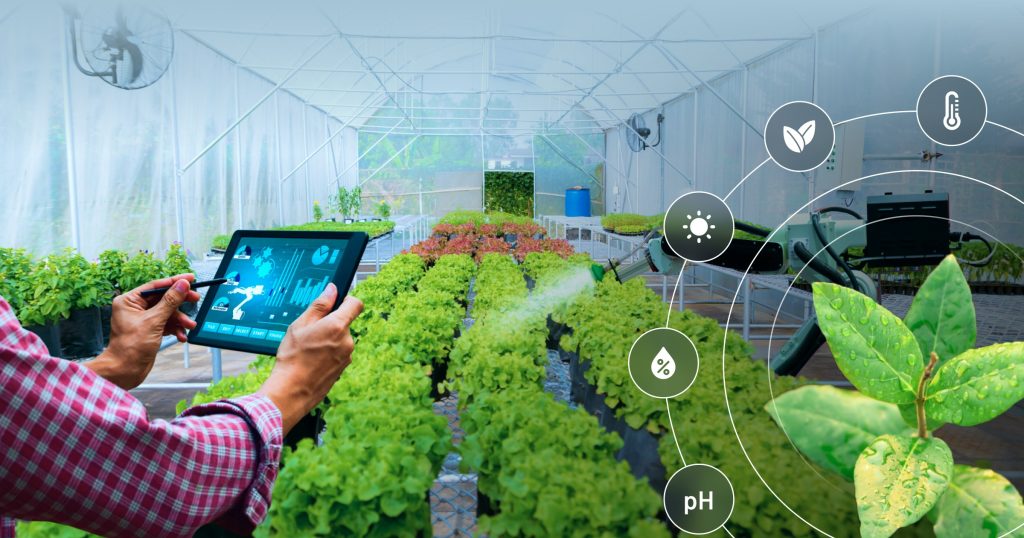 Best Weather Forecasting Tools for Smart Farmers