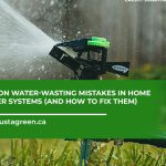 Common Mistakes in Irrigation And How to Fix Them
