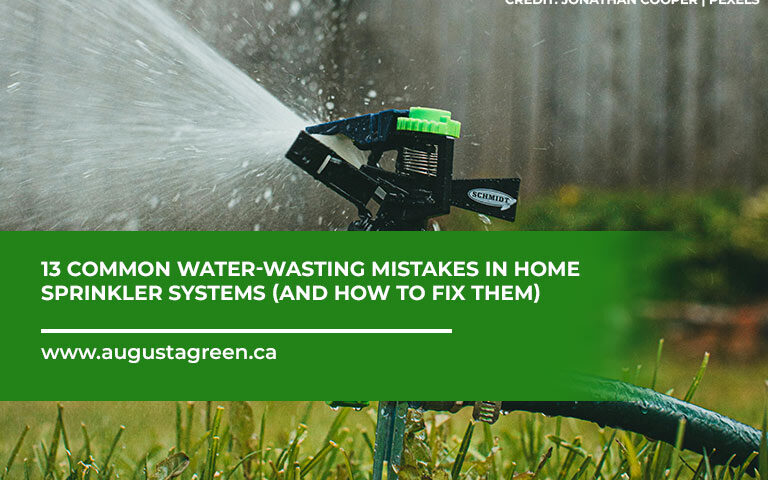 Common Mistakes in Irrigation And How to Fix Them