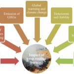 Effects of Crop Residue on Soil Fertility