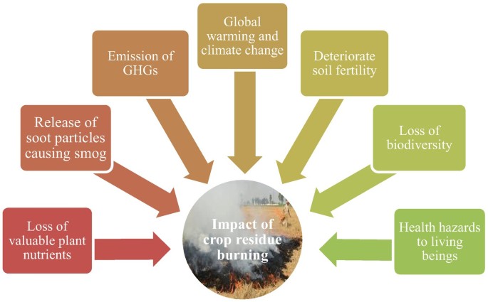Effects of Crop Residue on Soil Fertility