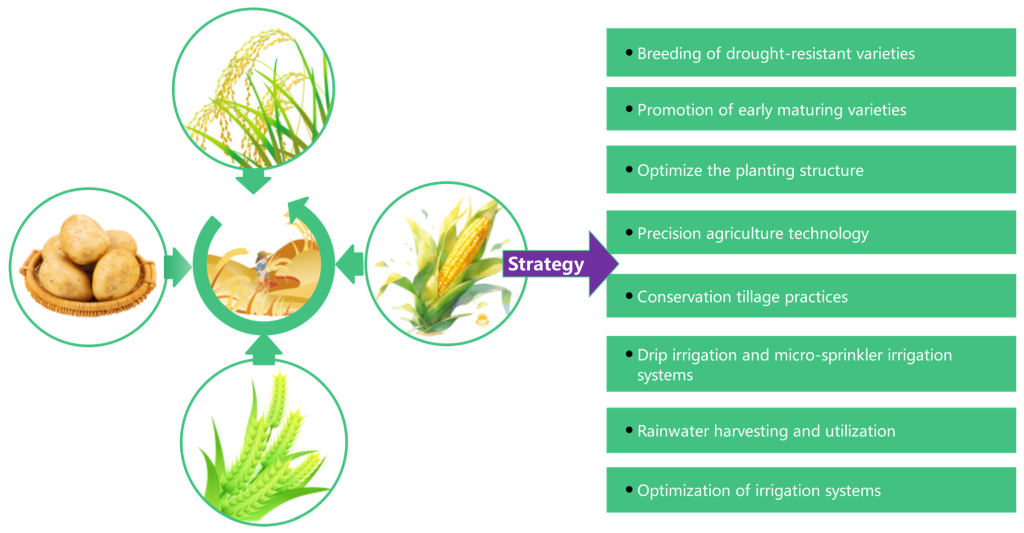 Efficient Irrigation Methods for Arid Regions