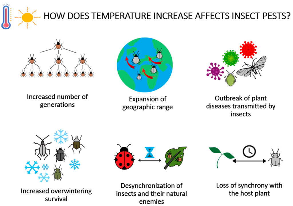 How Changing Weather Patterns Affect Pest Populations