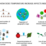 How Changing Weather Patterns Affect Pest Populations