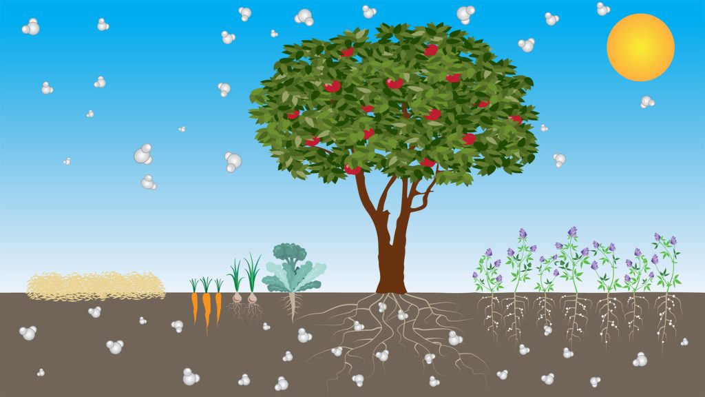 How Climate Change Is Impacting Organic Farming