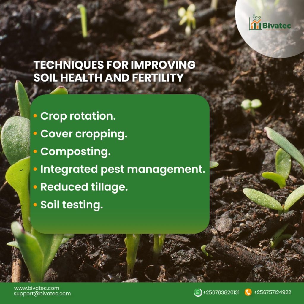 How Composting Improves Soil Fertility Long Term