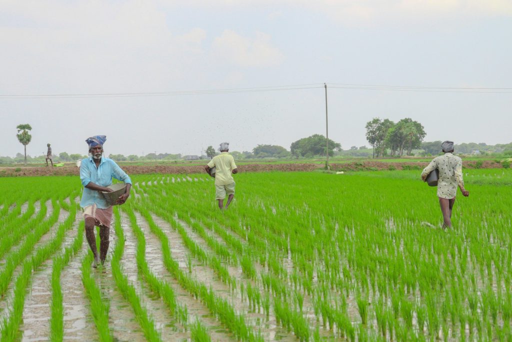 How Farmers Are Benefiting from Whatsapp & Telegram Bot Tools