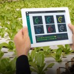 How Iot Is Transforming the Future of Agriculture
