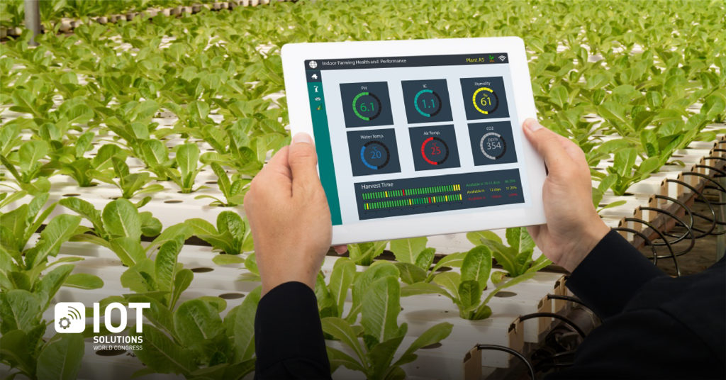 How Iot Is Transforming the Future of Agriculture