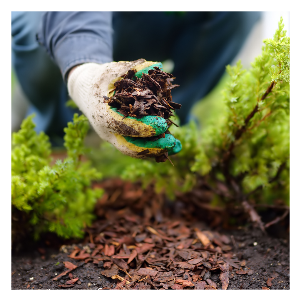 How Mulching Helps Combat Climate Impacts