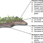 How to Avoid Waterlogging And Soil Compaction