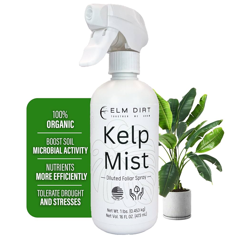 How to Boost Soil Microbial Activity Naturally