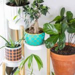 How to Choose the Right Seeder for Your Crops