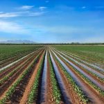 How to Deal With Salinity in Irrigation Water