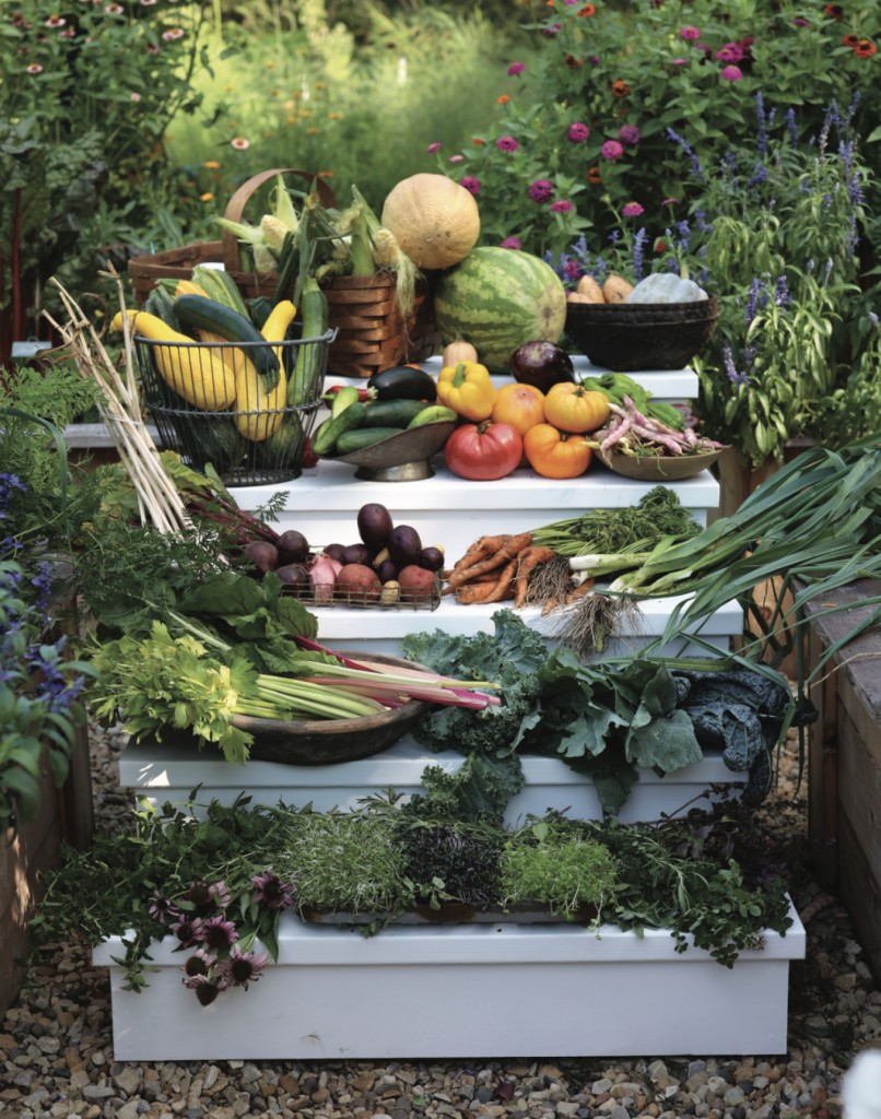 How to Grow Organic Vegetables in Your Backyard