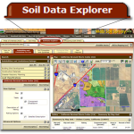 How to Identify Soil Types in Your Region