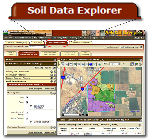 How to Identify Soil Types in Your Region
