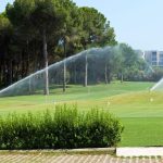How to Prevent Algae Growth in Irrigation Systems