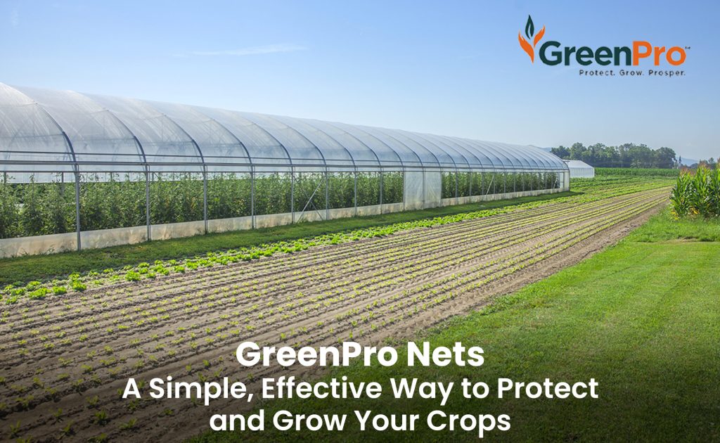 How to Protect Your Farm from Extreme Weather Events