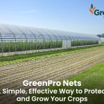 How to Protect Your Farm from Extreme Weather Events
