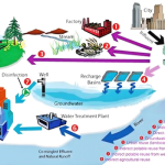 How to Reuse Wastewater Safely in Agriculture