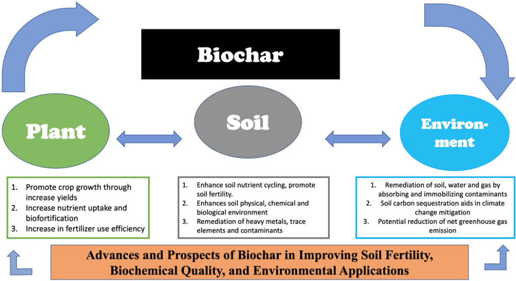 How to Use Biochar to Improve Soil Health