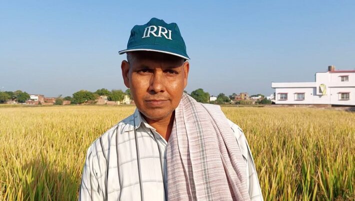 How to Use Jeevamrut And Beejamrut in Organic Farming