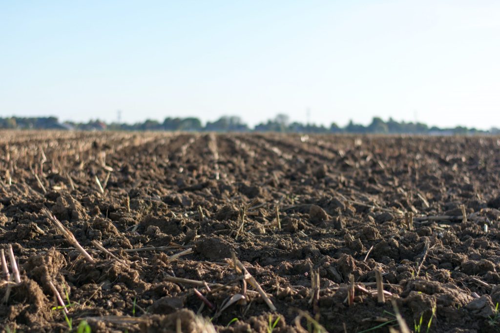 Impact of Continuous Mono-Cropping on Soil