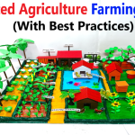 Integrated Farming System for Maximum Sustainability