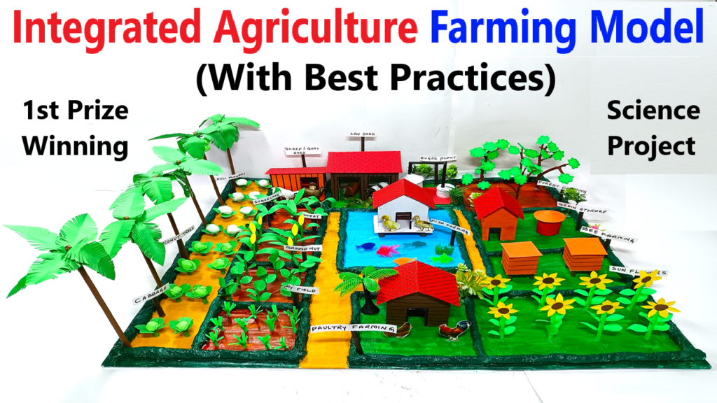 Integrated Farming System for Maximum Sustainability