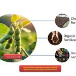 Integrated Nutrient Management for Better Yields