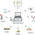 Integrating Solar Power With Smart Farming Devices