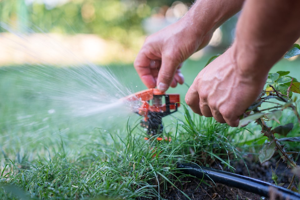 Irrigation Scheduling: Why It Matters And How to Do It