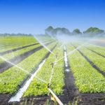 Low-Cost Irrigation Systems for Small-Scale Farmers