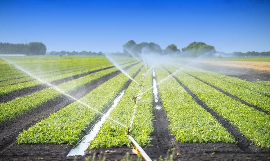 Low-Cost Irrigation Systems for Small-Scale Farmers