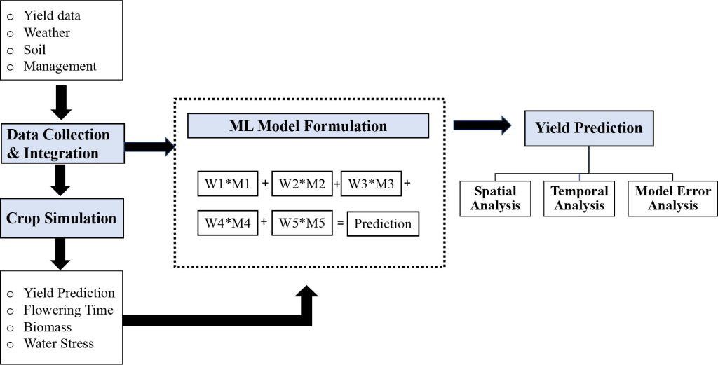 Machine Learning Models in Yield Prediction
