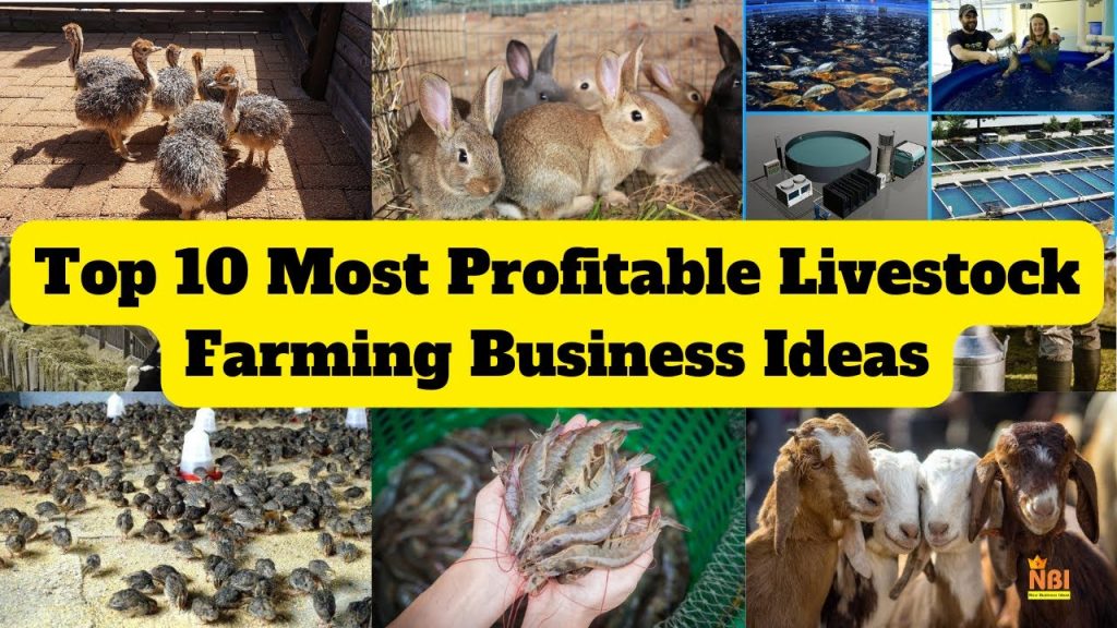 Most Profitable Livestock Farming Businesses