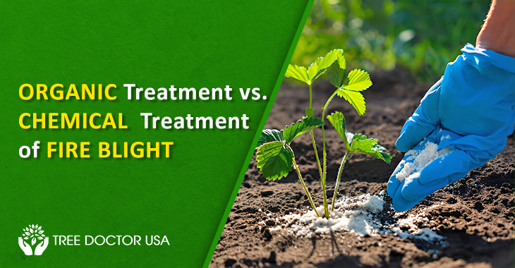 Organic Vs Chemical Soil Treatments: Pros & Cons