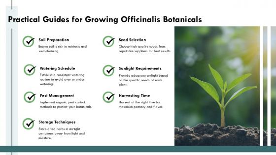 Practical Guide to Seed Selection Based on Soil