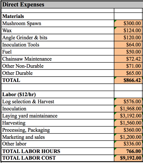 Profitable Mushroom Farming: Costs Setup And Market