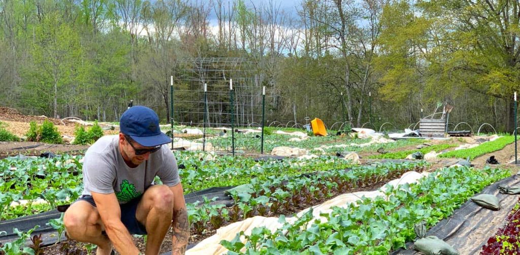 Pros And Cons of Organic Farming for Small Farmers
