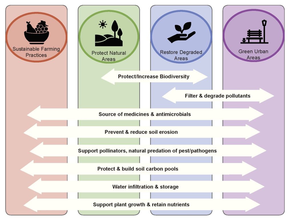 Role of Biodiversity in Sustainable Farm Ecosystems