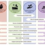Role of Biodiversity in Sustainable Farm Ecosystems