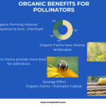 Role of Pollinators in Organic Food Production